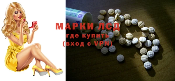 СК Вязьма