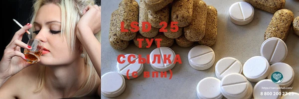 СК Вязьма