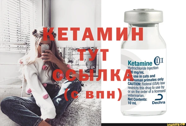 СК Вязьма