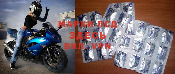 СК Вязьма