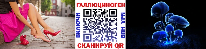KRAKEN зеркало  Зима  Галлюциногенные грибы мицелий 